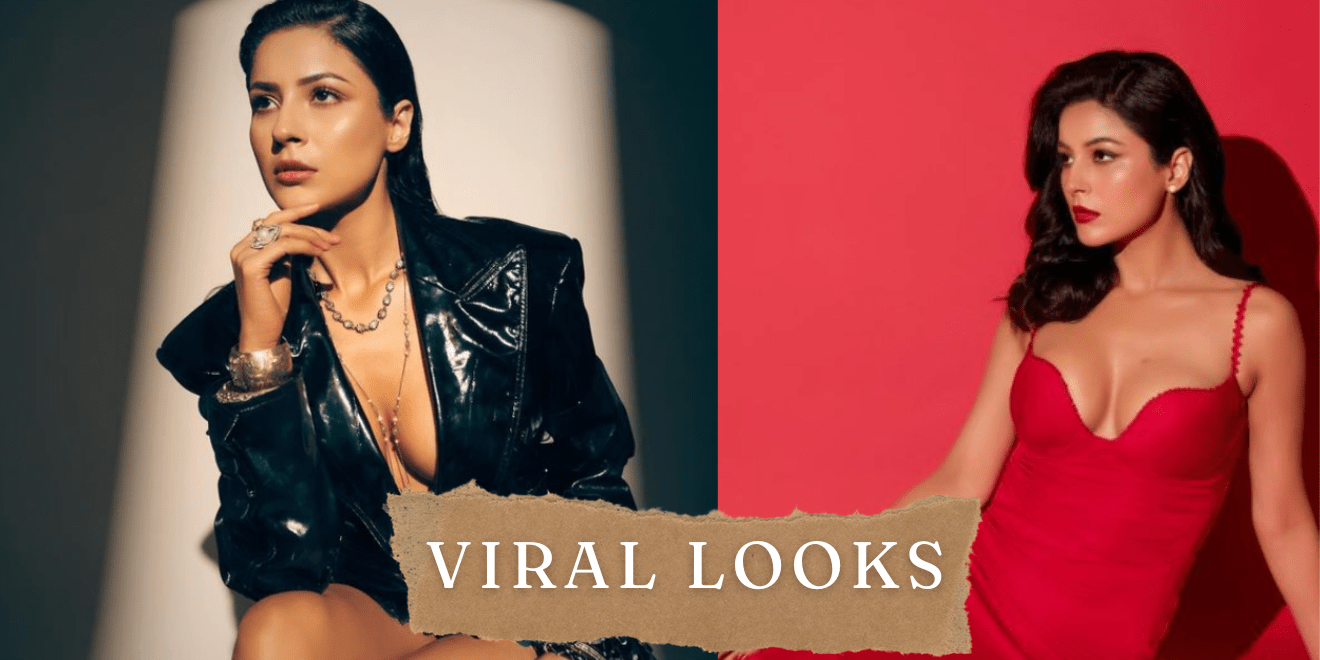 Let’s Get Into Shehnaaz Gill’s Wardrobe To Check Out Some Of Her Viral Hot Looks 