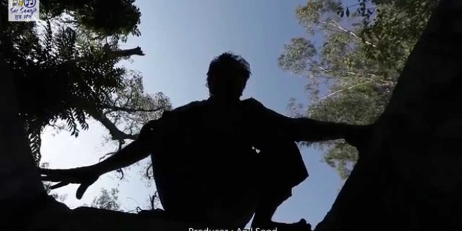 Teaser Trailer – Daughter of the Bin