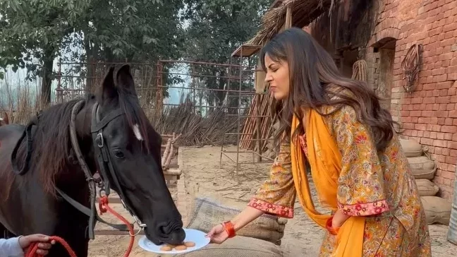 Shehnaaz Gill Reveals How 'Ishqnama' Conquered Her Long-Standing Fear of Animals!